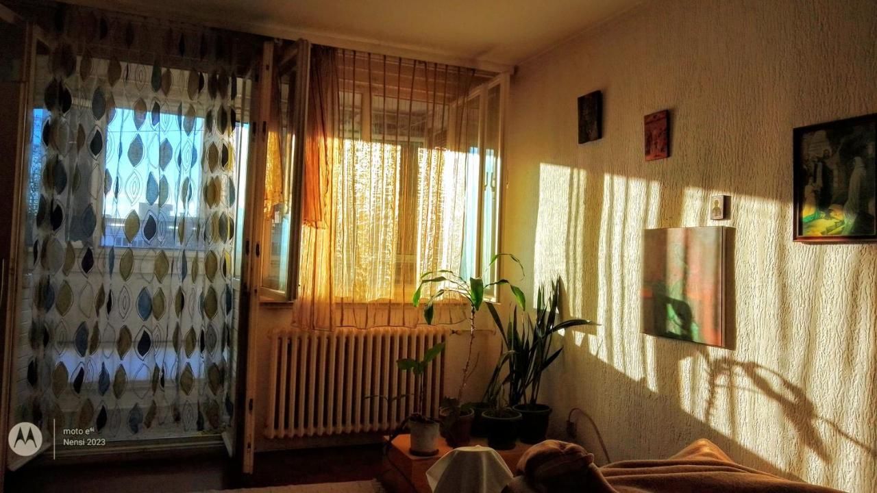 דירות בלגרד Men Who Knit מראה חיצוני תמונה